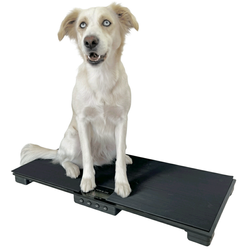 Báscula veterinaria digital para mascotas, 150kg